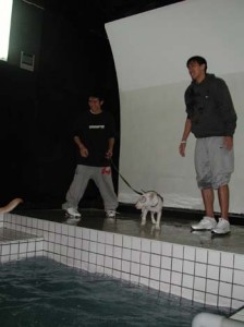 1380945816-4086703548