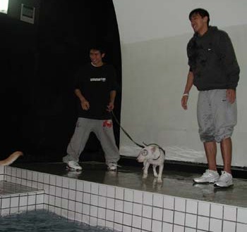 1380945816-4086703548