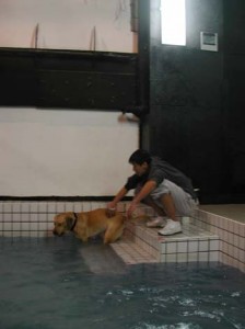 1380945816-623100326