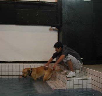 1380945816-623100326