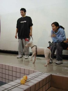 1380945817-2442819498