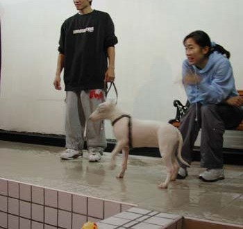 1380945817-2442819498