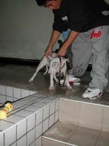 1380945817-3109176737