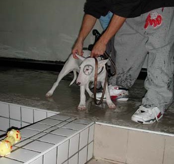 1380945817-3109176737