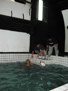 1380945818-1756440427