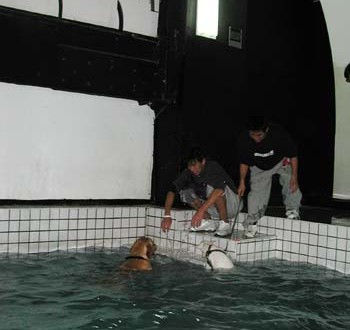 1380945818-1756440427