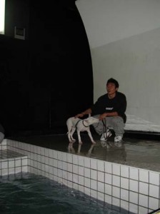 1380945818-754361417