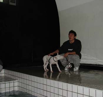 1380945818-754361417