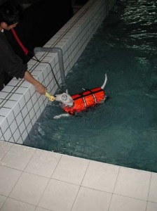 1380945820-3808734595