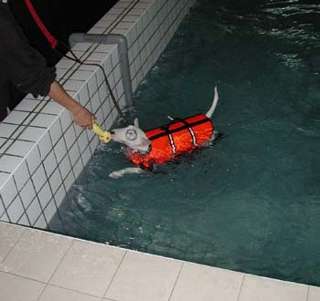 1380945820-3808734595