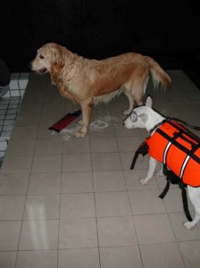 1380945820-550082315