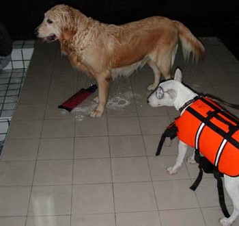 1380945820-550082315