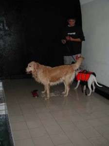 1380945821-2088319761