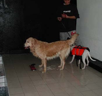 1380945821-2088319761