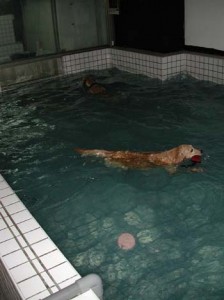 1380945821-3363805892