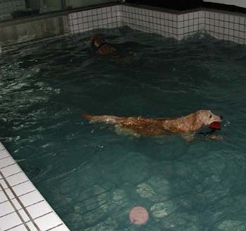 1380945821-3363805892