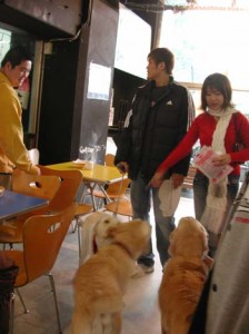 1380945822-2145394320