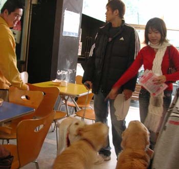 1380945822-2145394320