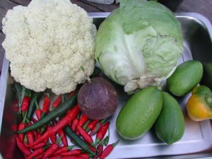 1380945826-1255842215