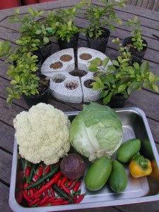 1380945826-3976412469