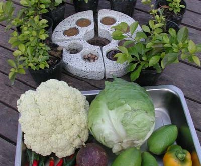 1380945826-3976412469