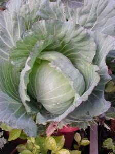 1380945828-2819360205