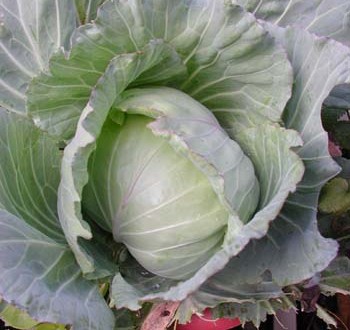 1380945828-2819360205