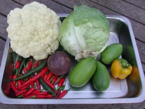 1380945828-2829946605