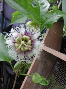 1380945829-1860739123