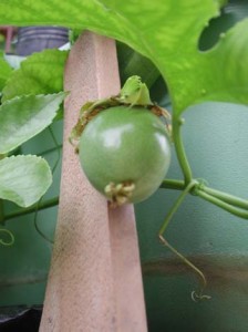 1380945829-1924692874