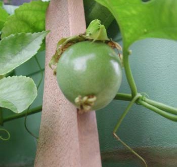 1380945829-1924692874