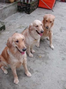 1380945834-2942611494