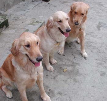 1380945834-2942611494