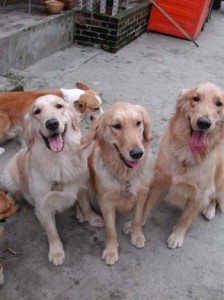 1380945834-3177593050