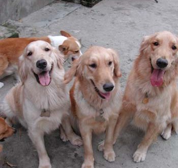 1380945834-3177593050