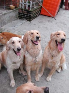 1380945835-2474790122