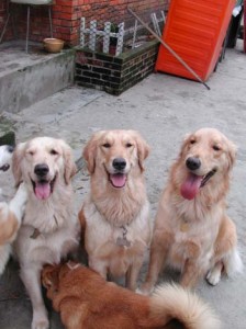 1380945835-3247456973