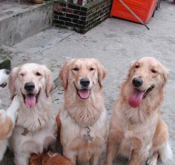 1380945835-3247456973