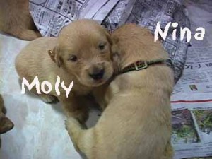 1380945836-1532278129