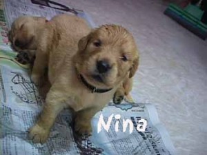 1380945836-3840376295