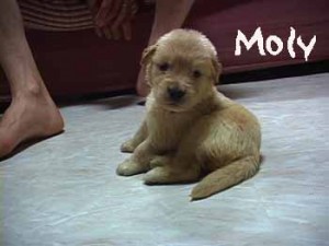 1380945836-608970728