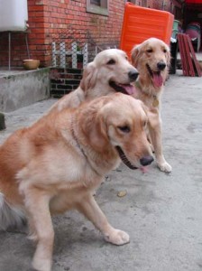 1380945837-2234438180