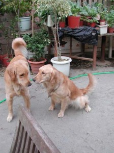 1380945838-2081349883