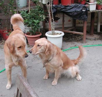 1380945838-2081349883