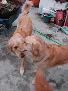 1380945838-3199570611