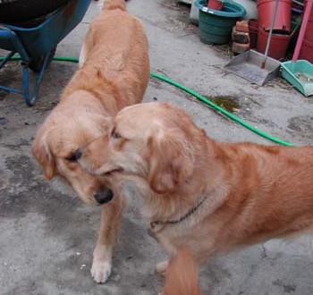 1380945838-3199570611