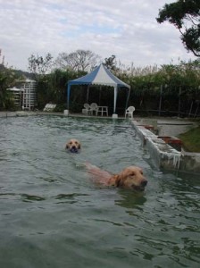 1380945839-4035095795