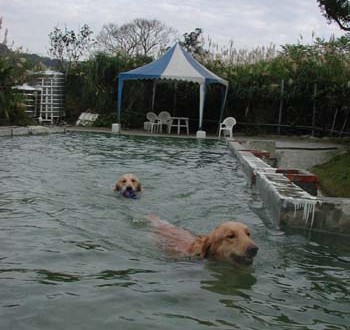 1380945839-4035095795