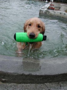 1380945839-4158575984