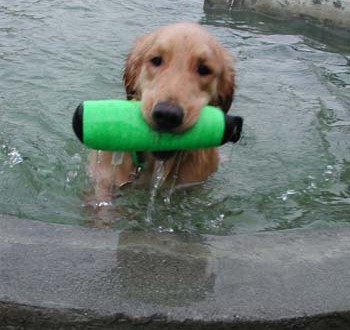 1380945839-4158575984